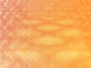 资源标签与企业管理：数字化转型的关键一环